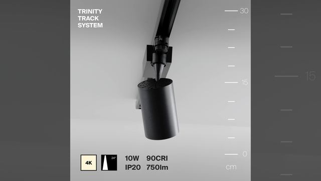 Светильник Maytoni Trinity Vuoro TR029-3-10W4K-S-B смотреть онлайн