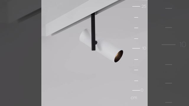 Светильник Maytoni Exility Elti TR005-2-12W4K-BW смотреть онлайн