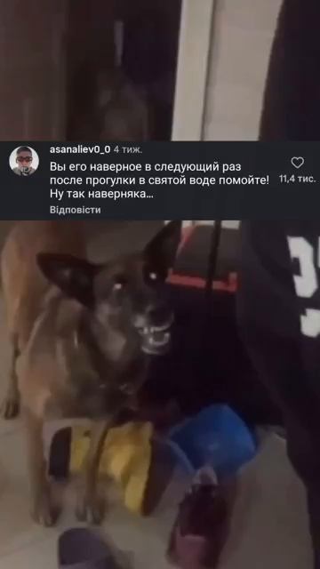 Пёс ужаса : )