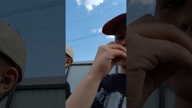 трелер хорорр Тёмный лес смотреть онлайн