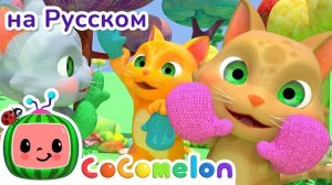 Котятки🐱 и перчатки🧤Мультики для детей 🌈