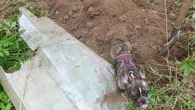 11 день ремонта на заброшенном участке