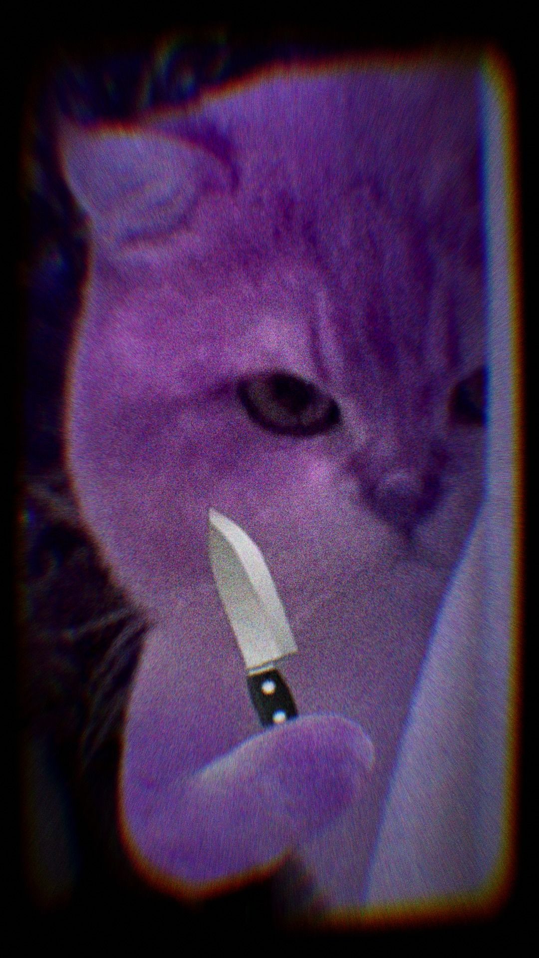 Я не осуждаю их за лапки