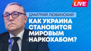 Украина, наркотрафик и теневой бизнес: круглый стол о новых угрозах Киева