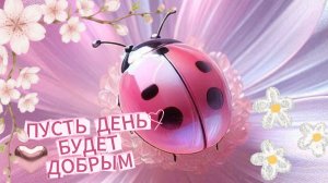 Красивые пожелания с добрым утром: открытка и хорошего дня | Домохозяйка