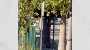 Как СБУ пыталась убить меня в Испании.