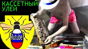 Пчелы не кусают если ...