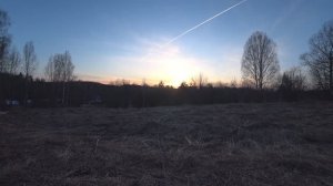 ЭТО ДОЛЖЕН УВИДЕТЬ КАЖДЫЙ! ВЕСЕННИЙ ТОК ТЕТЕРЕВА.