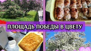 14-05-2026 Навожу уют❤️Взяла справку👍Сирень в цвету😍 Шарлотка и рулетики😋Вальс🤦