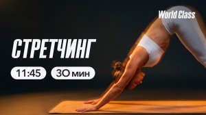 СТРЕТЧИНГ 30 мин с Ангелиной Казанцевой | 16 мая 2026| Онлайн-тренировки World Class