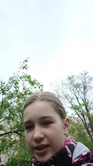 мой типичный день