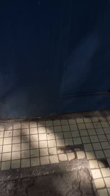 3ч гуляем по домофонам смотреть онлайн