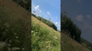 «Ситниково-место, где поёт душа»