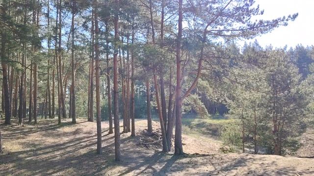 Идеальный паразит и манипулятор