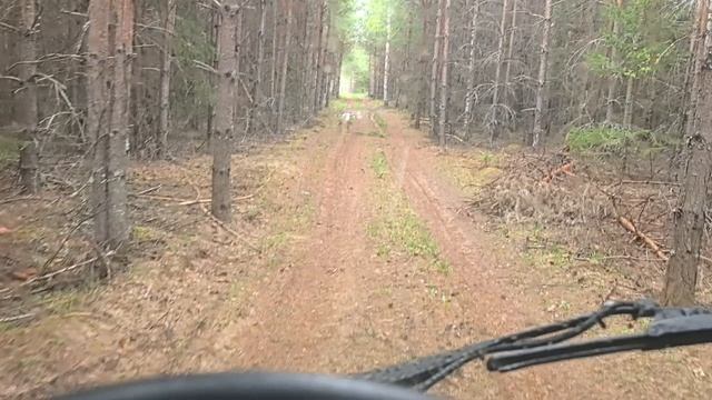 Едем отбирать зимовалых маточек на точек 