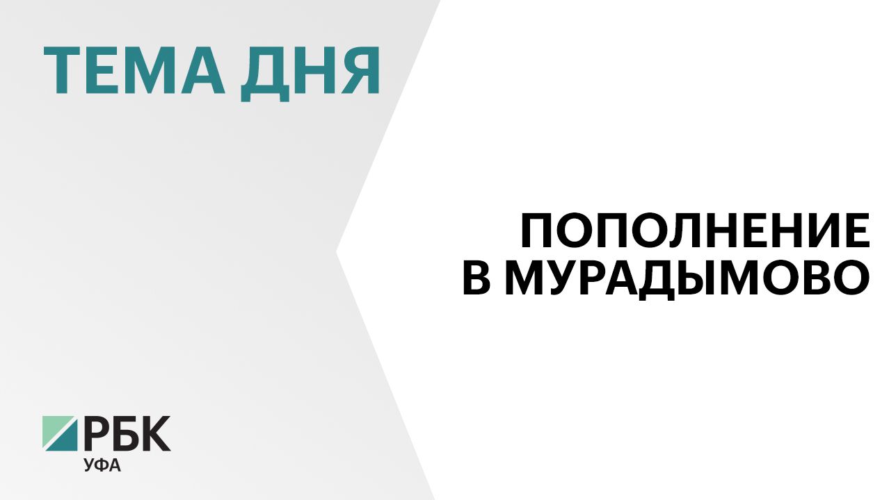 В природный парк «Мурадымовское ущелье» прибыли ещё 6 зубров из Беловежской пущи