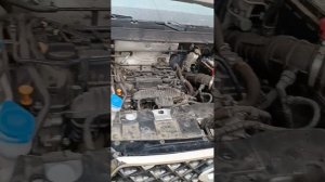 1000079852.mp4