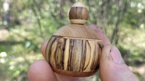 Шкатулка в майском лесу на старом пне с березкой