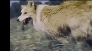 1000090220.mp4