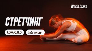 СТРЕТЧИНГ с Анной Фатеевой | 15 мая 2026 | Онлайн-тренировки World Class