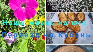 Живём и работаем на Кубани/ Водопровод по участку/ Шпалера для огурцов/ Наша жизнь на юге/
