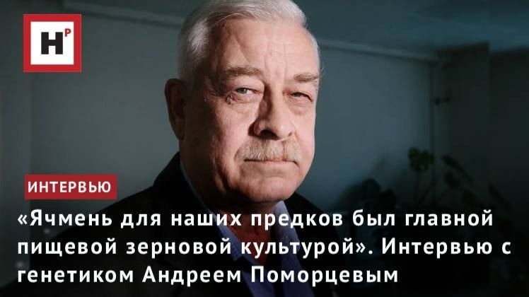 «Ячмень для наших предков был главной пищевой зерновой культурой». Интервью с Андреем Поморцевым