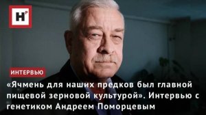 «Ячмень для наших предков был главной пищевой зерновой культурой». Интервью с Андреем Поморцевым