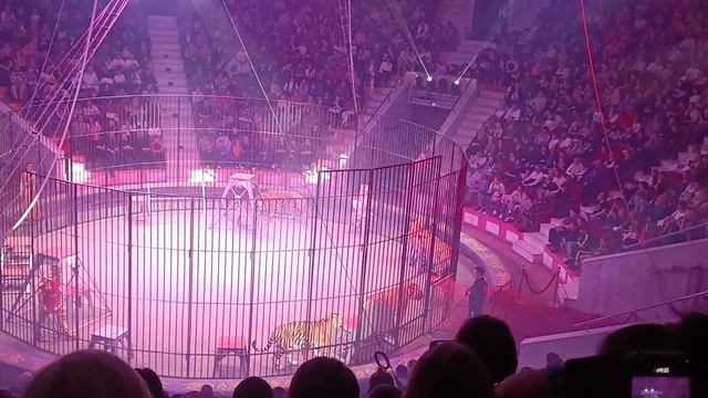 329.mp4 смотреть онлайн