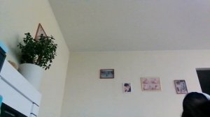 VID_20260514_205228.mp4