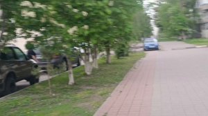 Погода изменчива. Голуби, цветы , такая весна.14.05.26