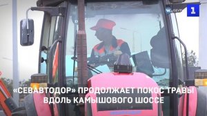 «Севавтодор» продолжает покос травы вдоль Камышового шоссе