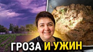 У природы нет плохой погоды! Мой день: от завтрака до ужина