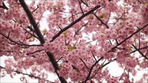 Проверьте свою кухню - 3 вещи, которые воруют ваш достаток.