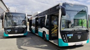 Новые, адаптированные к холоду, автобусы вышли на улицы Сургута