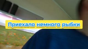 Приехало немного рыбки