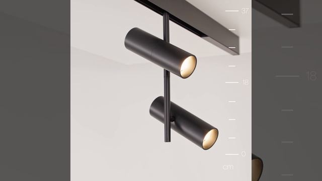 Светильник Maytoni Exility Elti Duo TR005-4-2X12W-DS-B смотреть онлайн