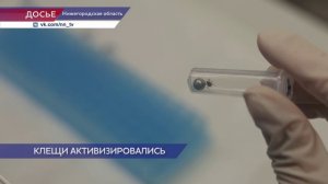 887 человек стали жертвами укусов клещей в Нижегородской области с начала сезона