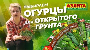 Эти ОГУРЦЫ для ОТКРЫТОГО ГРУНТА!