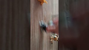 1000017745.mp4