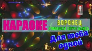 Ромашки спрятались. Воронец О. КАРАОКЕ