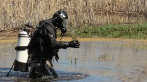 Водолазное обследование пляжей Воронежа и Новой Усмани весной 2026