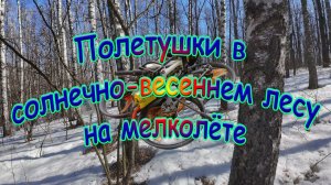 Полетушки в  солнечно-весеннем лесу на мелколёте