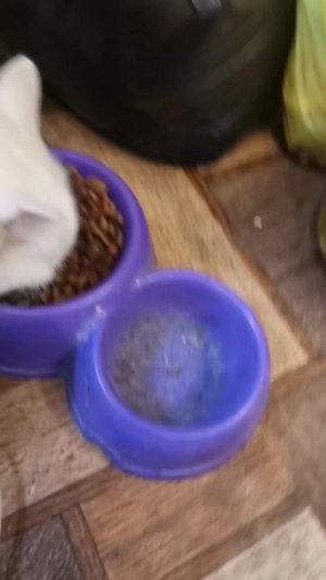 Вопрос ответ