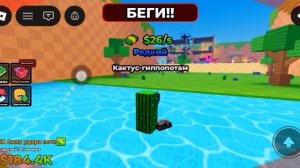 Начал играть в выбросьте лаки блок в роблокс.