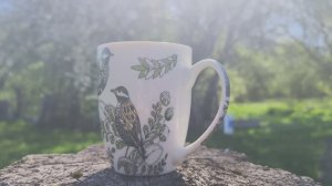 Майские выходные в посёлке Майское
