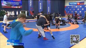 Всероссийские соревнования по классической борьбе прошли в Нижегородской области