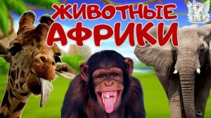 Учим животных/Животные Африки/Развивающие мультики для детей