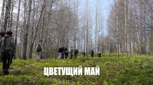 Цветущий май