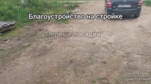 Посадки на стройке! Что то новенькое по сортам. С теплицей беда😅