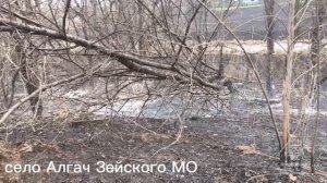 Пожар в селе Алгач Зейского округа